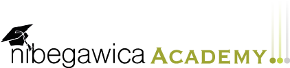 logo nibegawica academy